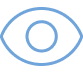 Vision Icon